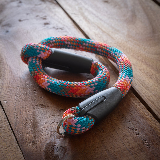 KINGFISHER LIMITED EDITION